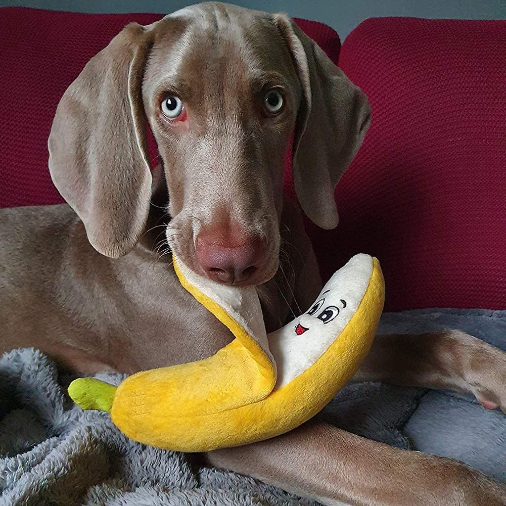 Abby's Favorite Banana