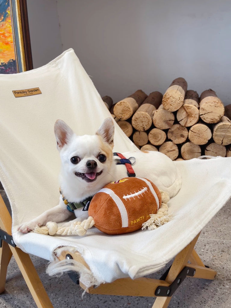 New Arrivals!  CHEWFFON Football！