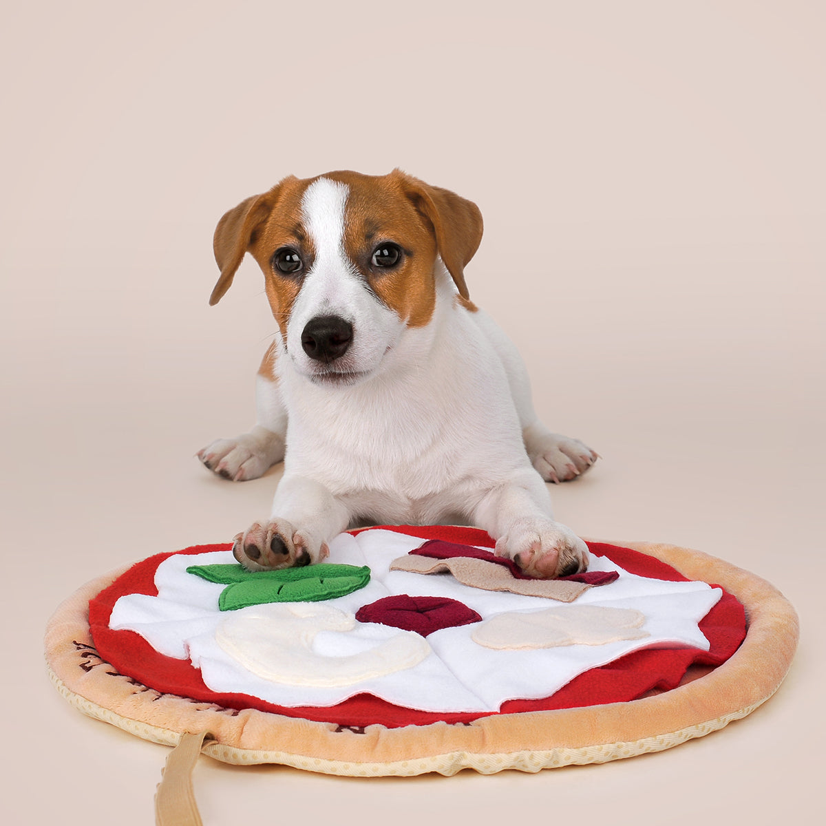 Small Snuffle Mat – Pets Pizzazz
